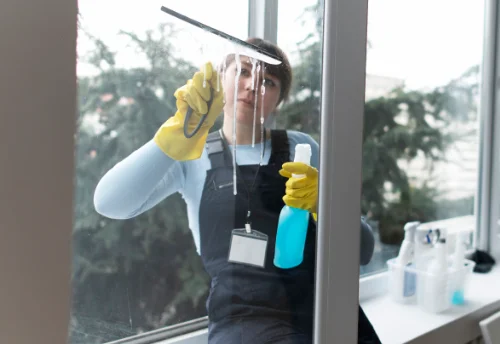 Nettoyage de vitres intérieures et extérieures à Nousty